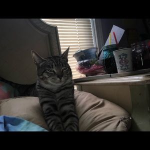 Meet your Posher, Katie